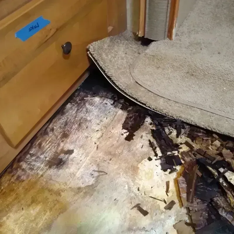 Best Wood Floor Water Damage Service in Somerset, MD